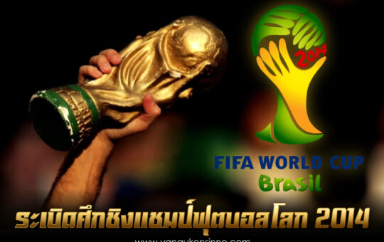ฟุตบอลโลก 2014